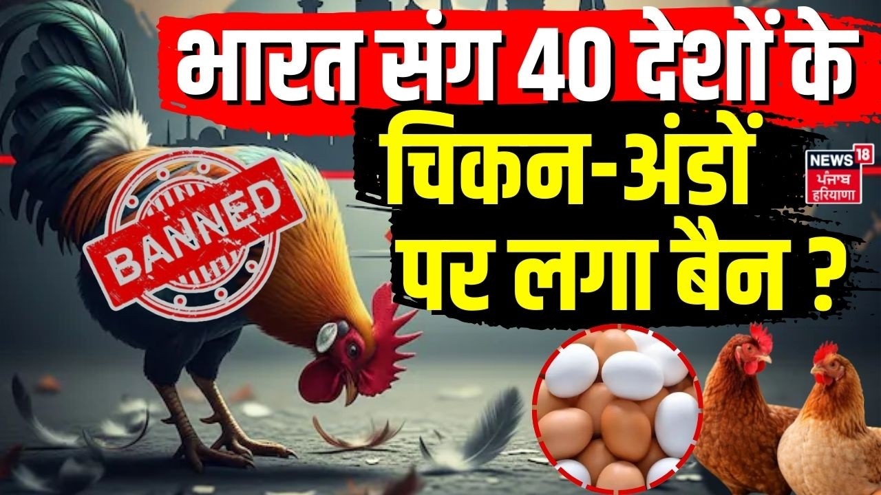 Saudi Arab Bans Eggs : भारत संग 40 देशों के चिकन-अंडों पर लगा बैन ? | Breaking News| Top | N18G