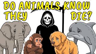 Do Animals Know When They're Dying?
