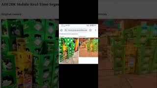 Semantic Segmentation on ADE20k Using TensorRT engine on Real-Time Mobile Camera
