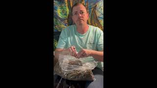 How THCA Flower Supply Chains Work | Retail vs Distributor Pricing