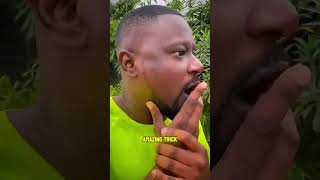 Lenky Vs Dumbo  Magic Or Deceptionmini Wood Toywoodworking Art Skillhand Crafts shorts