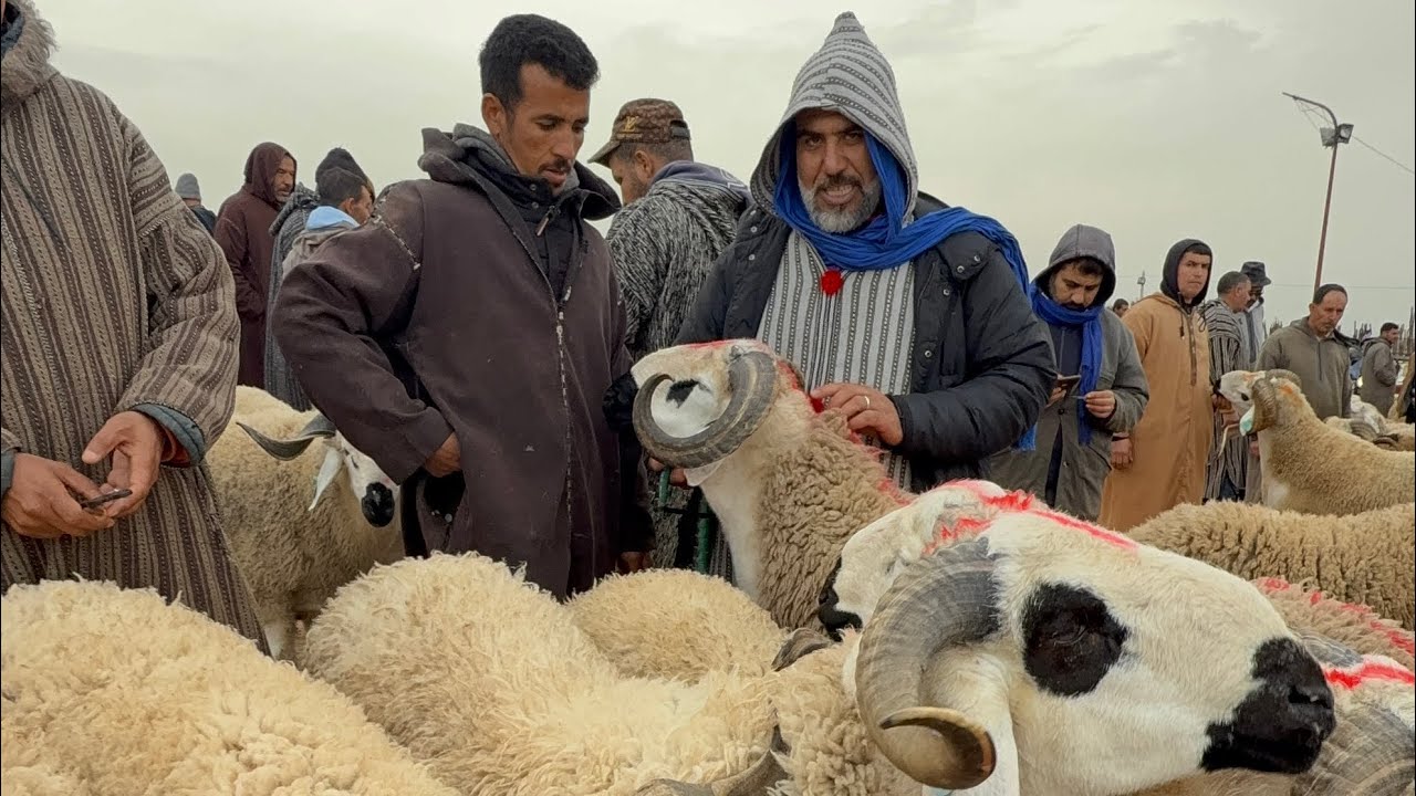 أثمنة خيالية اليوم من سوق حد البروج