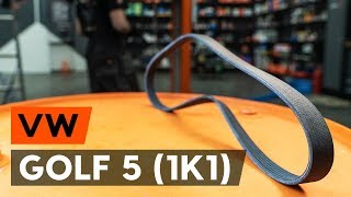 How to change serpentine belt / v-ribbed belt on VW GOLF 5 (1K1) [TUTORIAL AUTODOC]