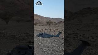 My 3D Printed CH53 Sea Stallion Circling Around My Mi24 Hind Gunship RC Helicopter #shorts