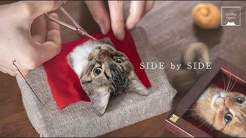 Needle felting Cat // Making video  //By Wakuneco.