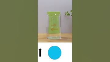 Bending light with water - Arrow glass experiment - @LabScienceExperiments