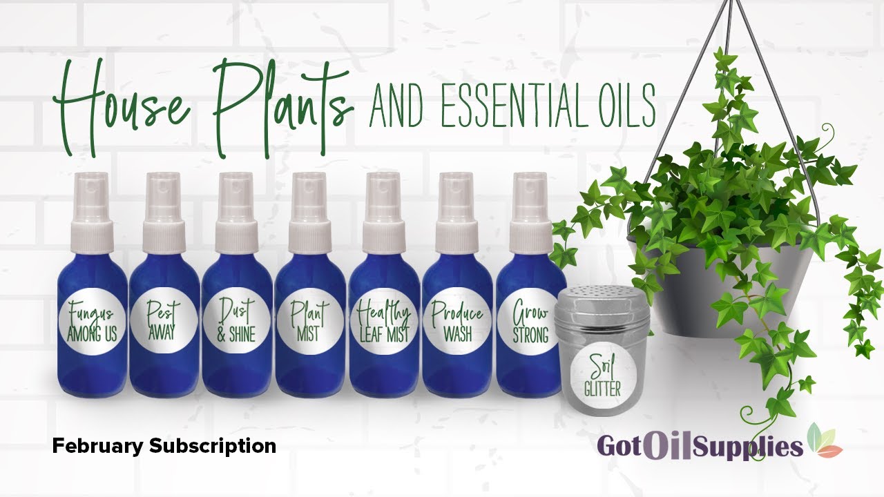 House Plants and Essential Oils February 2021 Subscription Boxes YouTube