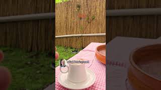 Batıkent De Merkezi Konumda Full Yapılı Satılık Villa (Sadece Bahçe)