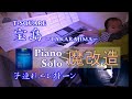 【宝島/T-SQUARE(Piano Solo改造)】子連れエレクトーン