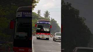 Bumagay din pala bagong livery ni DLTB sa HD9 #DLTB #DLTBCo