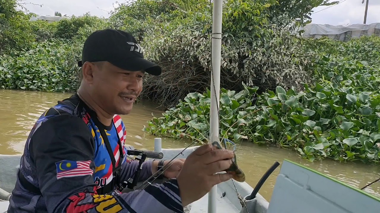 Memancing Udang Galah Teluk Intan trip 4/july/2020 - YouTube