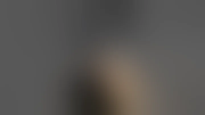 Ruger P95 DC 9mm pistol. My everyday carry here in Alaska.