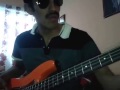 Cool cat cover- Queen