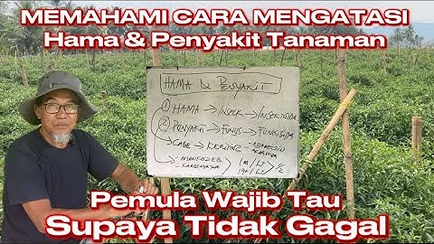 MEMAHAMI PESTISIDA UNTUK HAMA DAN PENYAKIT TANAMAN