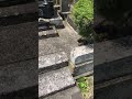 墓石リフォーム