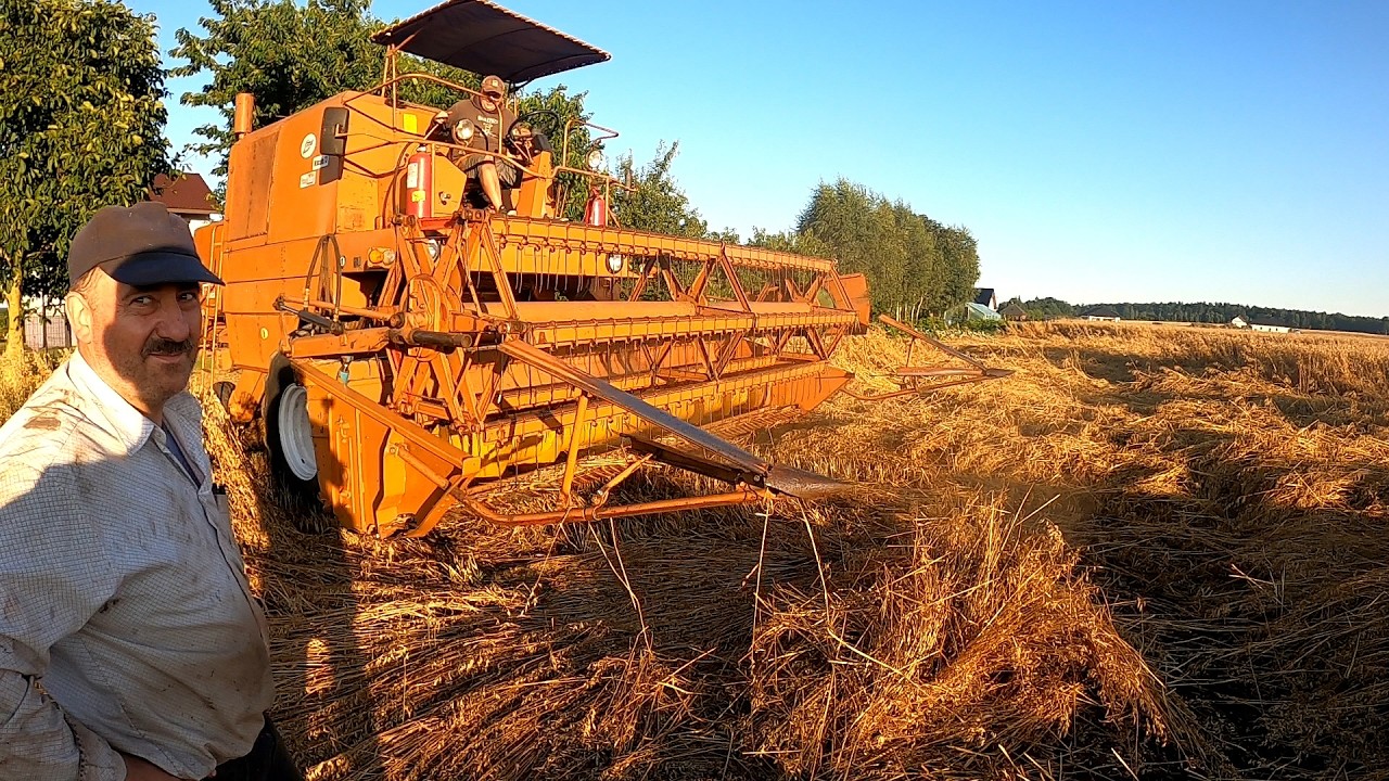 Start Wielkich Żniw Owies sypie 8 ton z hektara i miodowy Bizon daje radę