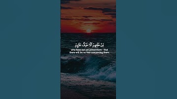 فرحين بما آتاهم الله من فضله | سورة آل عمران | شريف مصطفى