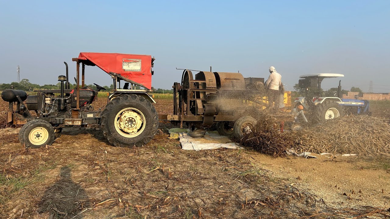 भगवान की दया से आज अपना बाजरा भी निकल गया।