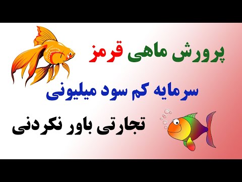 تصویری: نحوه تغذیه ماهی گوپی