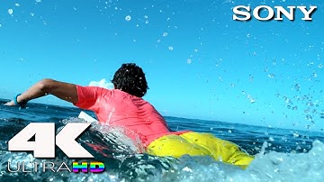 4K Ultra HD | SONY UHD Demo: Surfing