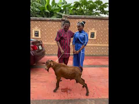 Finally met Nollywood