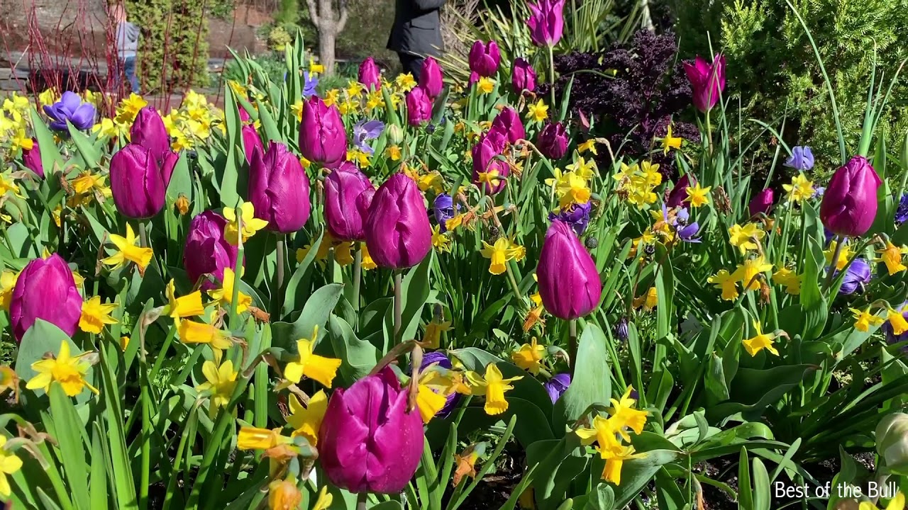 Sarah P Duke Gardens In Spring Durham Nc Youtube