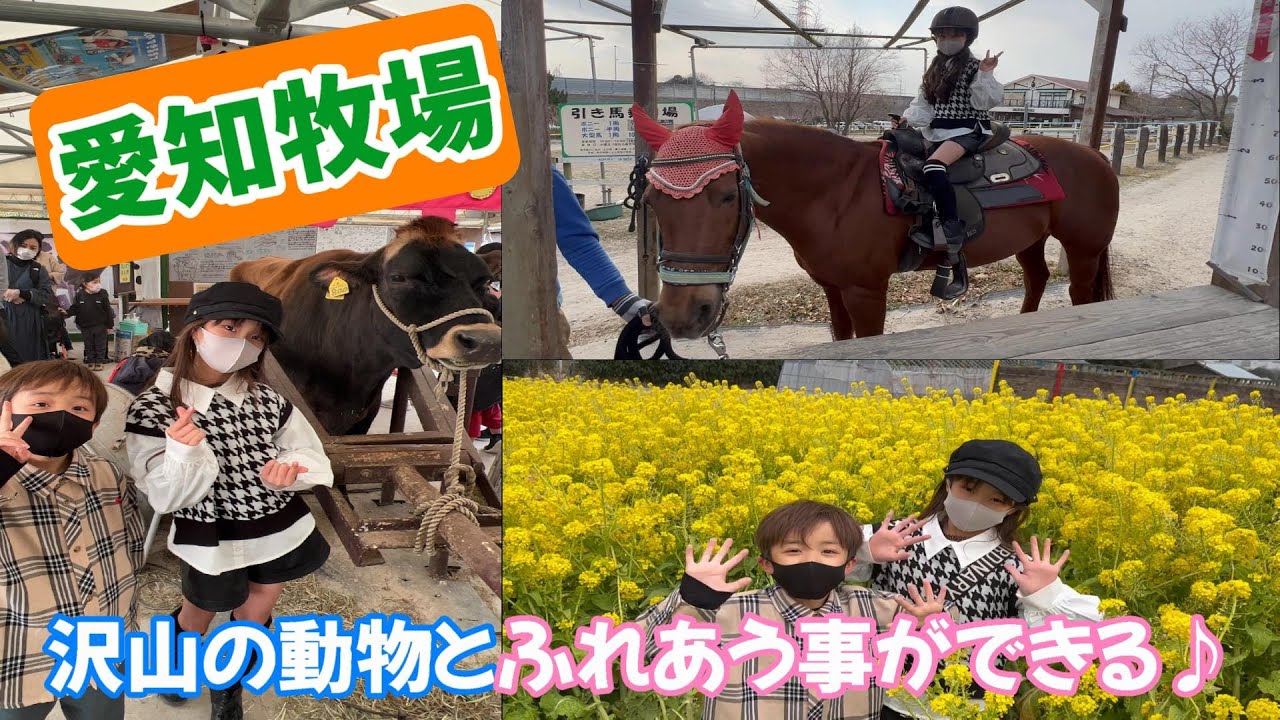 【愛知牧場】子供も大人も楽しめる愛知牧場で色々な体験をして遊んできました😊