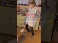 【一晩でTikTok49万再生されてたばあちゃんとグレちゃんの日常】 #グレーの猫 #癒し動画 #保護猫達の日常 #シャルトリュー