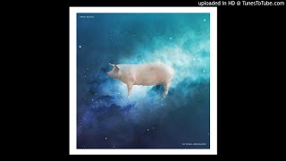 Space Bacon - The Polish Ambassador