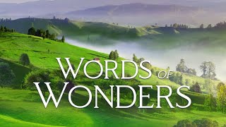 Words Of Wonders Wow 21 - 22 - 23 - 24 Bölümler