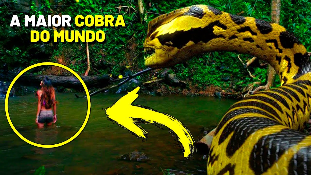 AS COBRAS – A ANACONDA NÃO é a MAIOR cobra que já existiu entre os animais