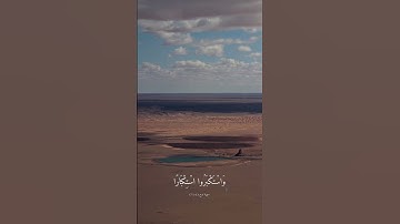 قال ربي اني دعوت قومي ( سورة نوح )