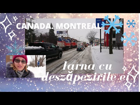 Video: Satul de iarnă din Montreal 2019