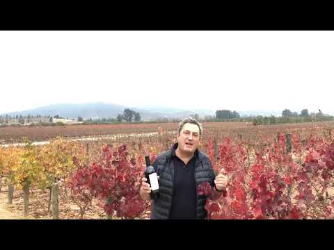 Video: Nejlepší vinařství v Chile