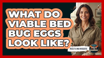 What Do Viable Bed Bug Eggs Look Like? - Insects and Invaders