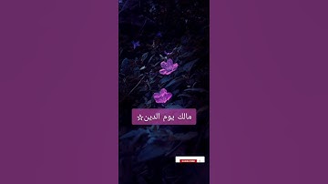 سورة الفاتحة بصوت القارئ سليم حسين