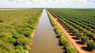 Velho Chico A Jornada Do Rio Que Mantém A Caatinga Viva