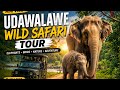 🐘 UDAWALAWE SAFARI ADVENTURE | WILD ELEPHANTS IN SRI LANKA 🇱🇰