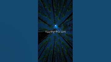 سورة الانفال - القارئ ماهر المعيقلي