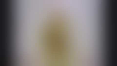 FORGET THE MALL - Super Assfuck Collection (UNRELEASED)