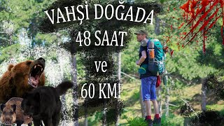 VAHŞİ DOĞADA 48 SAAT VE 60 KM / TEK BAŞINA KAMP! (Güvenli kamp yeri, AYI, KURT, DOMUZ) #kamp