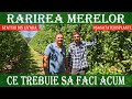 Rarirea fructelor in plantatia Bau Frutch