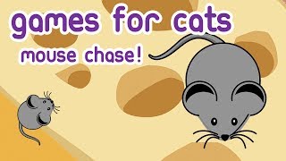 CAT GAMES - Videos for Cats entertainment catching Mice (mouse hunt) screenshot 3