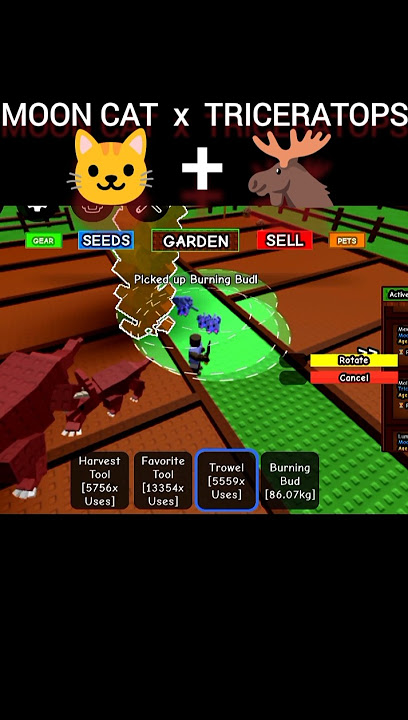 Moon cat bug middle freeze x Triceratops method#growagarden #mooncat #bug #method #foryou #roblox