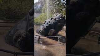 Ballena Lanzando Agua  - Juegos de agua