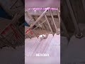 POV: Mission Impossible Cat editions ☠️