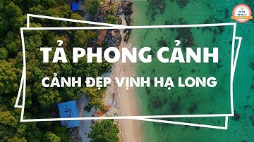 LỚP 5 | TẢ CẢNH BIỂN | VỊNH HẠ LONG | Những "bí kíp" làm nên sức hấp dẫn của bài văn tả cảnh