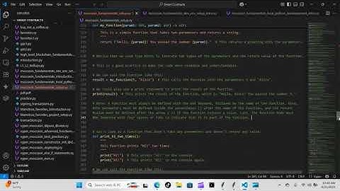 Python Papi / Smart Contracts - Moccasin Fundamentals Setup - Day 11