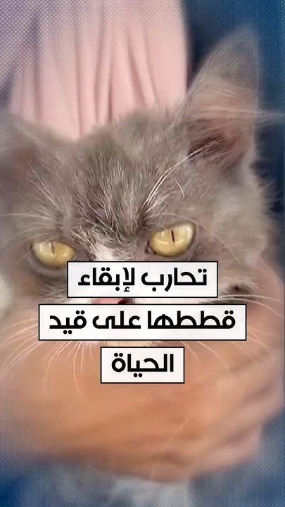  ..      
 - نشر قبل 2 ساعة