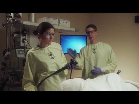 Video Endoscopy U Of A